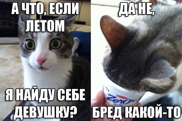 ДЕВУШКУ БРЕД ШШПЙ ТП