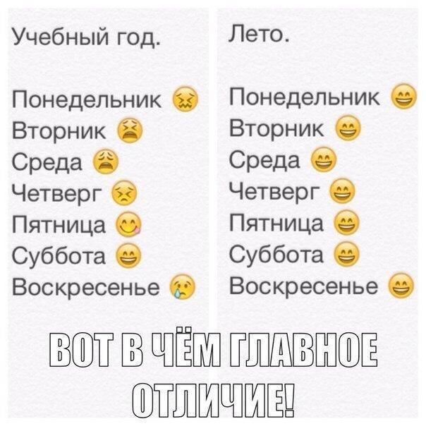 Учебный год Лето Понедельник 6 Понедельник Вторник Вторник 6 Среда Среда С Четверг Четверг 0 Пятница Пятница 0 Суббота 0 Суббота 0 Воскресенье 0 Воскресенье 0 за Шё ЁЩ