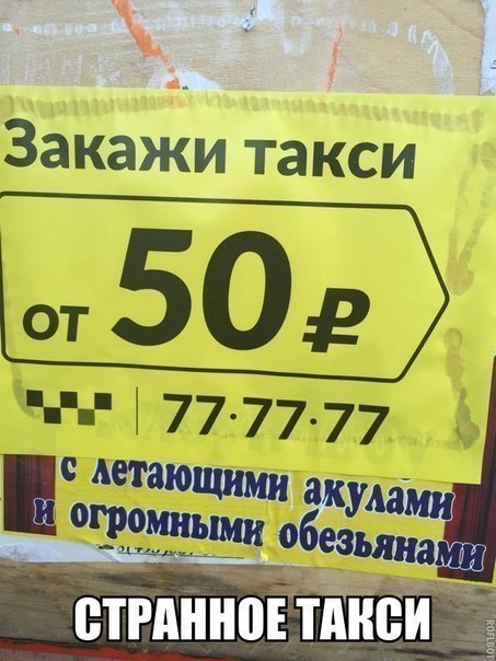 аишощшш Щит ц тгшщашн етгдннопійеи