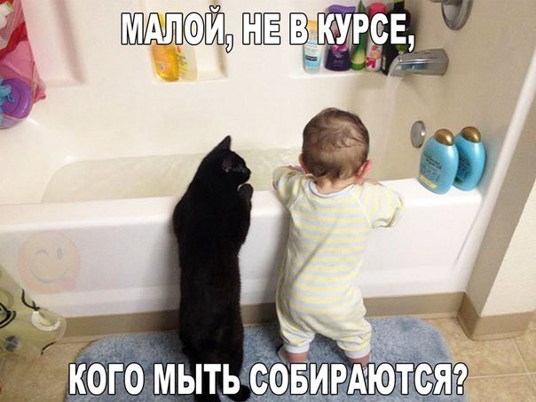 чтимый