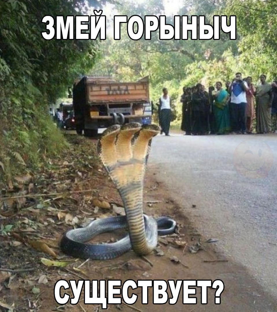 _ __ Сущвствувтт