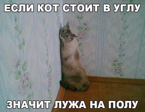 ЁЗЁХЁПЩЁ ПУЖА НА ПОПУ