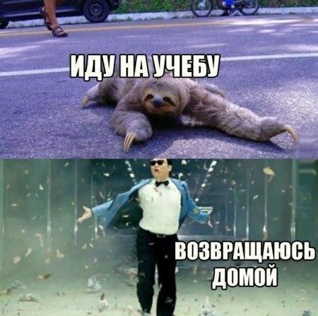 возвгдщдюсь