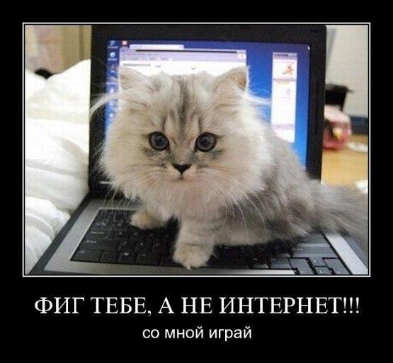 ФИГ ТЕБЕ А НЕ ИНТЕРНЕТ со мной играй