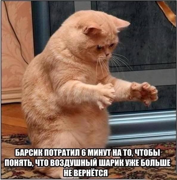 вдгеии піттгптип в минпщт то чтпьы піінпть что воздушный шдгии шит вппьшт тгнітсп дА м