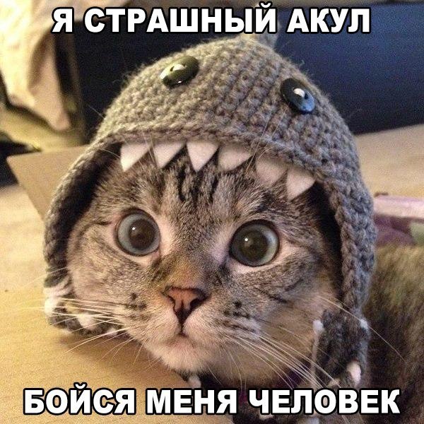 Я СТРАШНЫЙ АКУП БФИФЯ МЕНЯ ЧЕПВВЕК