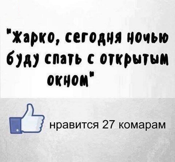 Жарко Бегония ночью 6 сит открыти окчои нравится 27 комарам