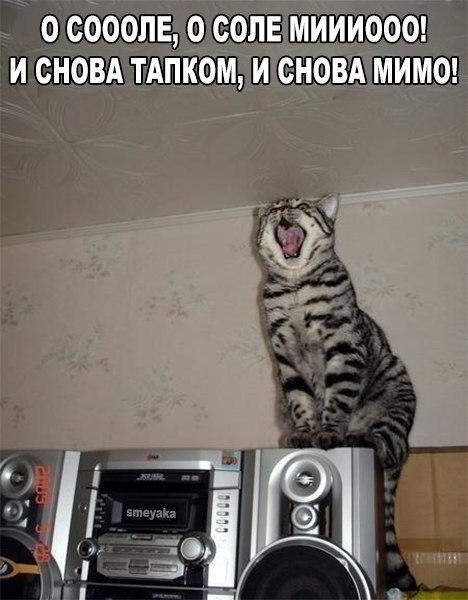 Ёз1зш Еси у