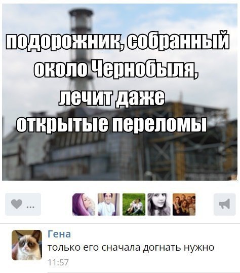 ТНПЬПЫВ ПВПВППМЫ ТЁЁЗ Гена только его сначала догнать нужно