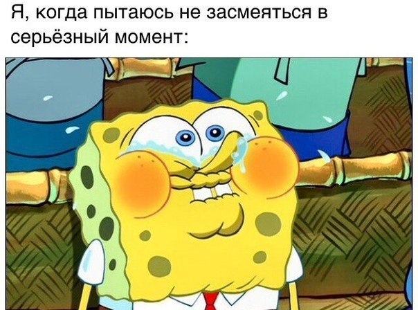 Я когда пытаюсь не засмеяться в серьёзный момент 341