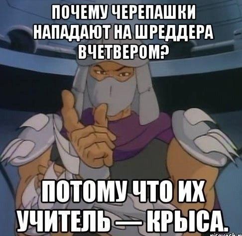 ППЧЕМУ ЧЕРЕПАШНИ НАПАДАЮТ НА ШРЕДДЕРА ВЧЕТВЕРПМ