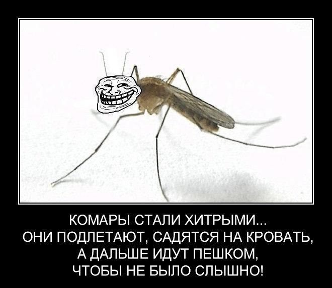 КОМАРЫ СТАЛИ ХИТРЫМИ ОНИ ПОДПЕТАЮТ САДЯТСЯ НА КРОВАТЬ А ДАЛЬШЕ ИДУТ ПЕШКОМ ЧТОБЫ НЕ БЫЛО СЛЫШНО