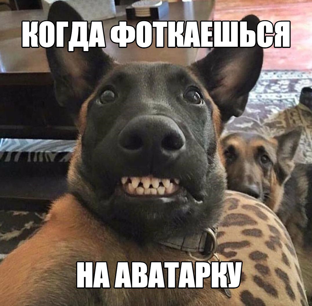 і нпгдддфотиіддшьеп 74 Ё о О Аиггм У _