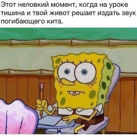 Этот неловкий момент когда на уроке тишина и твой живот решает издать звук погибающего кита