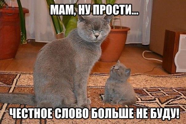 3 гтлёіпіпюши