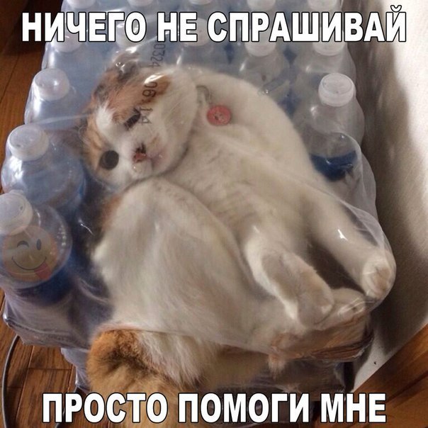 хм проёігтфпомоги мнв