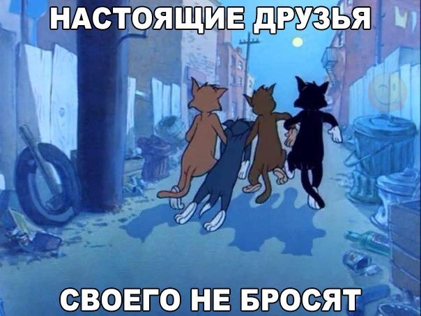 ндсърящив е вовго ШЗ БРФФЪЯТ