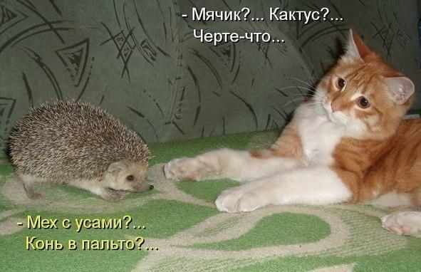 Мячик Кактус Черте что А