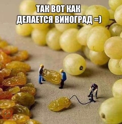ШВвотжндн дшшеп винптщеп 51