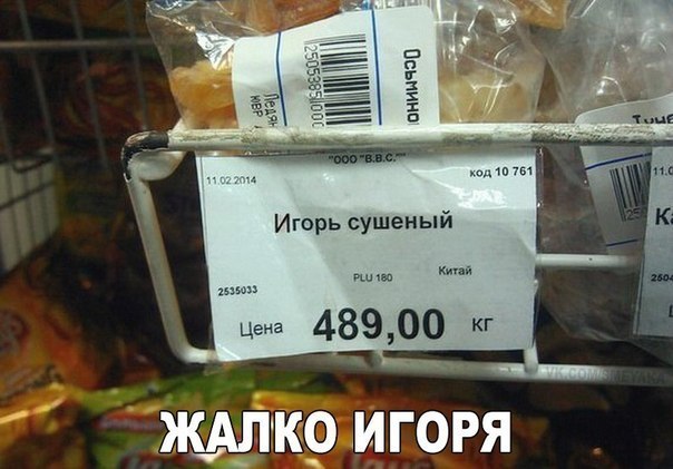 Игорь сушень 48900 кг Ж_А1К9 ИГОРЯ