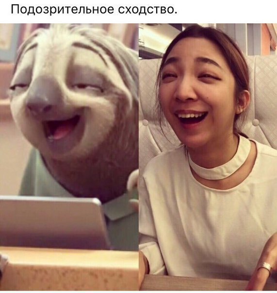 Подозрительное СХОДСТВО
