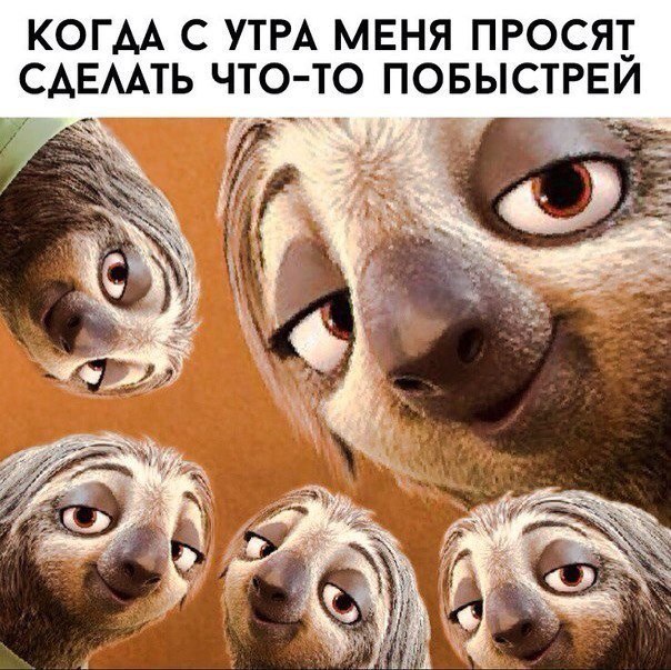 КОГАА С УТРА МЕНЯ ПРОСЯ САЕААТЬ ЧТО ТО ПОБЫСТРЕИ У