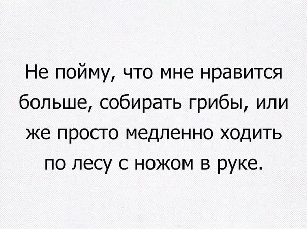 Не пойму что мне нравится больше собирать грибы или же просто медленно ходить по лесу с ножом в руке