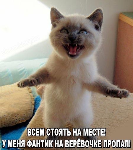 _ В ВСЕМ СТОЯТЬ НА МЕСТЕ МЕНЯ ФАНТИК НА ВЕРЁВОЧКЕ ПРОПАЛ