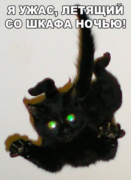 ъяшцгюй щ ночи