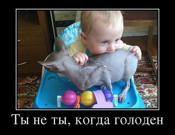 ТЫ НС ТЫ когда ГОЛОДСН