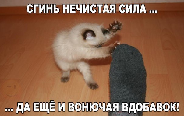 сгйнь нвчистдя силд дАЁЩЁ вонючдядвдоёёвош