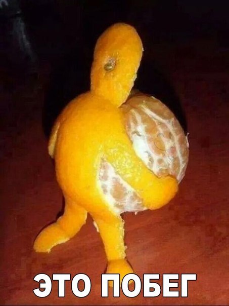 ЭТО ПОБЕГ