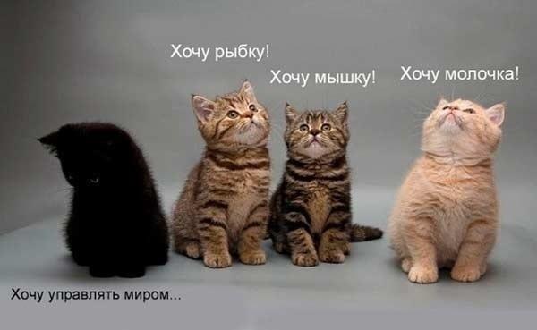 Хочу управлять миром