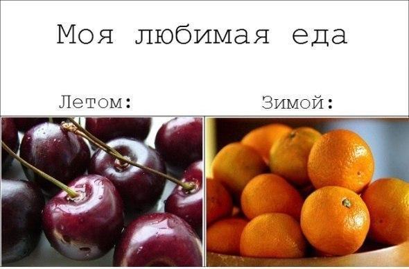 Моя любимая еда Летом Зимой