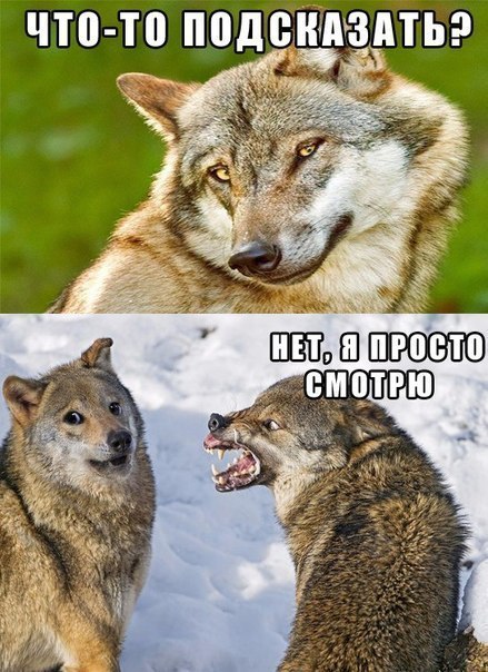 что то подеищдтьэ чтз