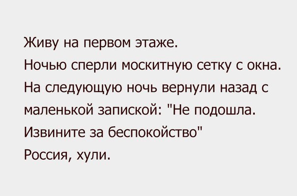 Живу на первом этаже Ночью сперли москитную сетку с окна На следующую ночь вернули назад с маленькой запиской Не подошла Извините за беспокойство Россия хули