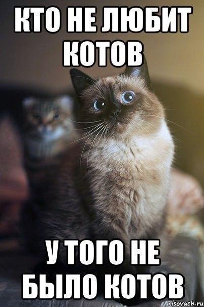 НТП НЕ ЛЮБИТ итого НЕ _ Было ЦОТЧЬ