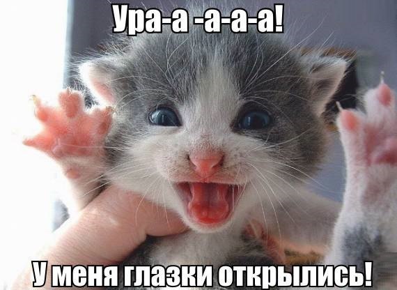 Шменп плани отнпьшщдь