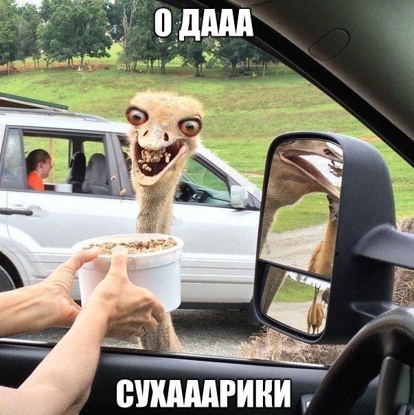 7 и и и с