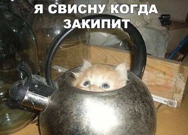 я свиснузКогдА зАкипиг 359 ЁЁ