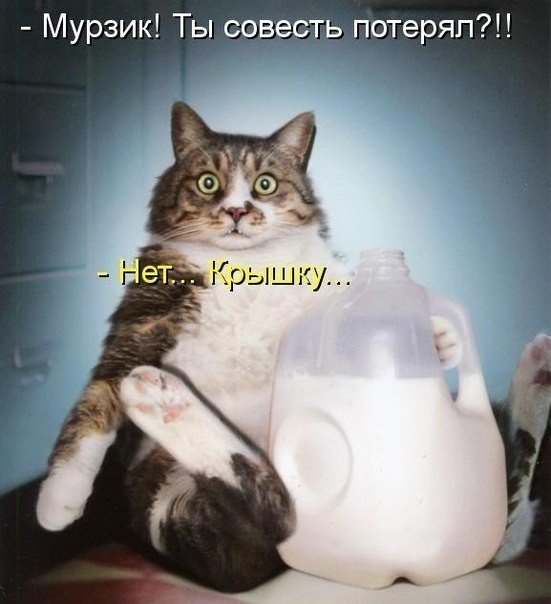 Мурзик Ты сговстеь потеряп1