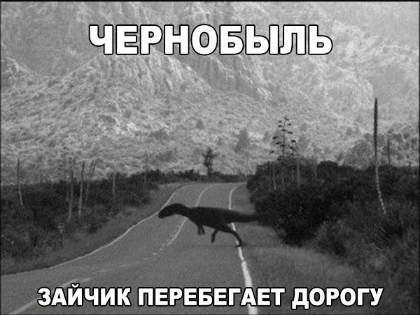_ 3АЙ1ик ПЕРЕБЕГАЕТ дорогу