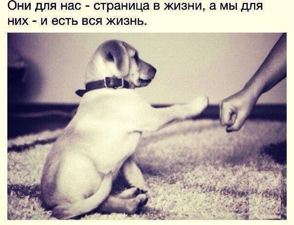 Они для нас страница в жизни а мы для них и есть вся жизнь