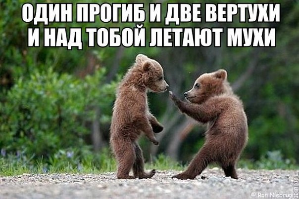 один ПРШЩЗ И дВЕ ВЕРШИ И нид ПМЮИ ЛЕТАЮТ ШШШ