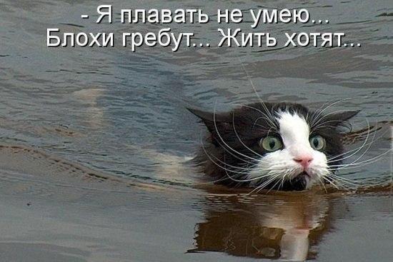 Я гаватьнг_ум вю Бтхи гребут жиЩод
