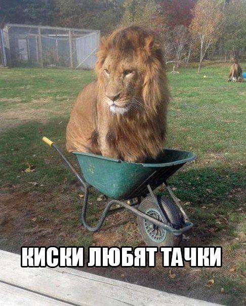 _ писни лювптЁдчни