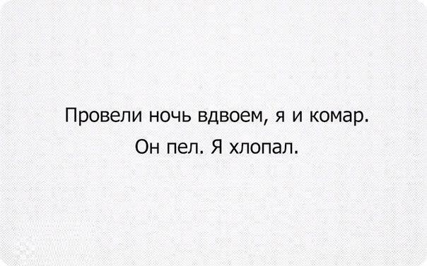 Провели ночь вдвоем я и комар Он пел Я хлопал