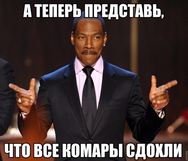 ТЕПЕРЬ ПРЕДСТАВЬ еномдгы сдохли