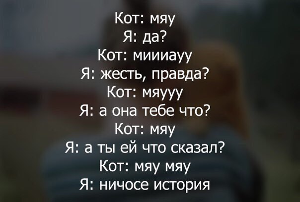 Кот мяу Я да Кот миииауу Я жесть правда Кот мяууу Я а она тебе что Кот мяу Я а ты ей что сказал Кот мяу мяу Я ничосе исгория