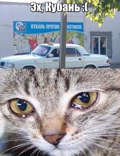 КОММ И Р П Ь Н А Б У К